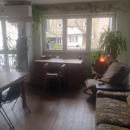 La Puisatiere 80 M2 Apartment Strasbourg Luaran gambar