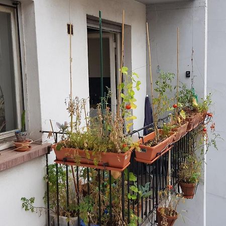 La Puisatiere 80 M2 Apartment Strasbourg Luaran gambar