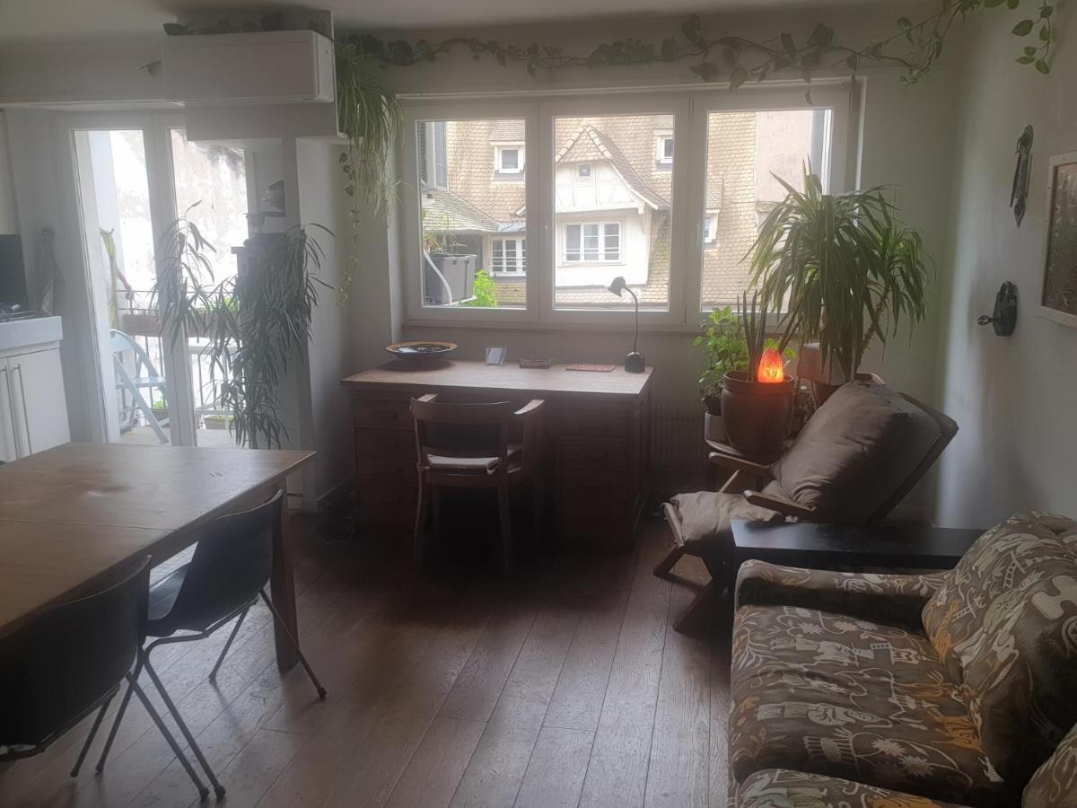 La Puisatiere 80 M2 Apartment Strasbourg Luaran gambar