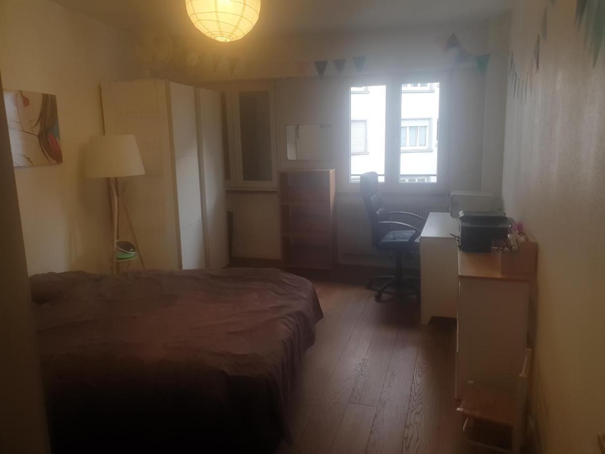 La Puisatiere 80 M2 Apartment Strasbourg Luaran gambar