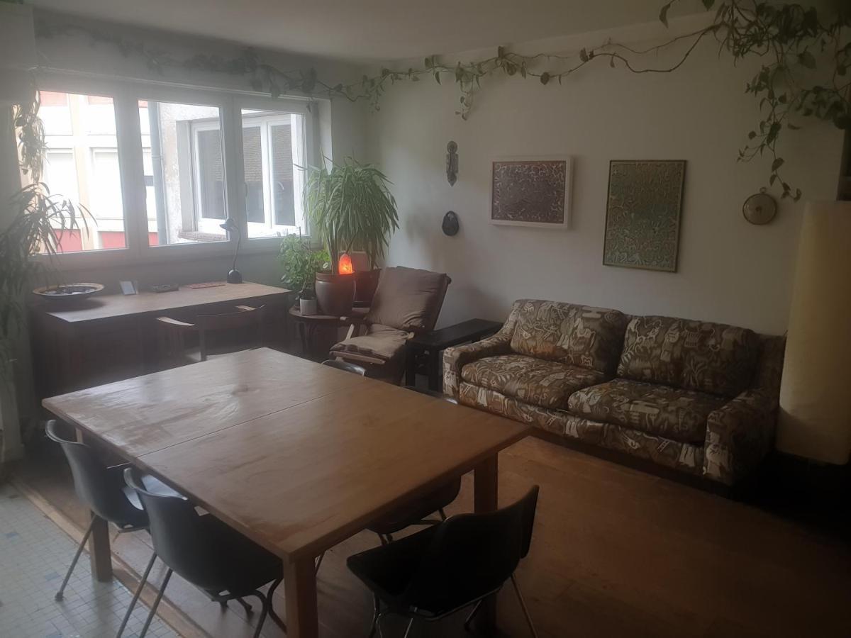 La Puisatiere 80 M2 Apartment Strasbourg Luaran gambar