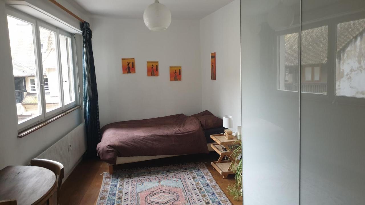 La Puisatiere 80 M2 Apartment Strasbourg Luaran gambar
