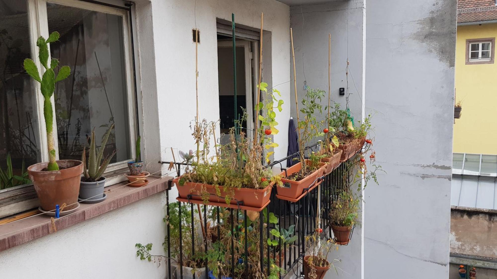 La Puisatiere 80 M2 Apartment Strasbourg Luaran gambar